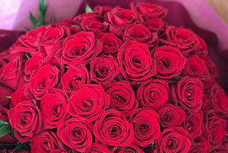 赤いバラが108本の花束