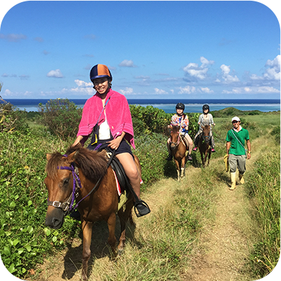 石垣島馬広場