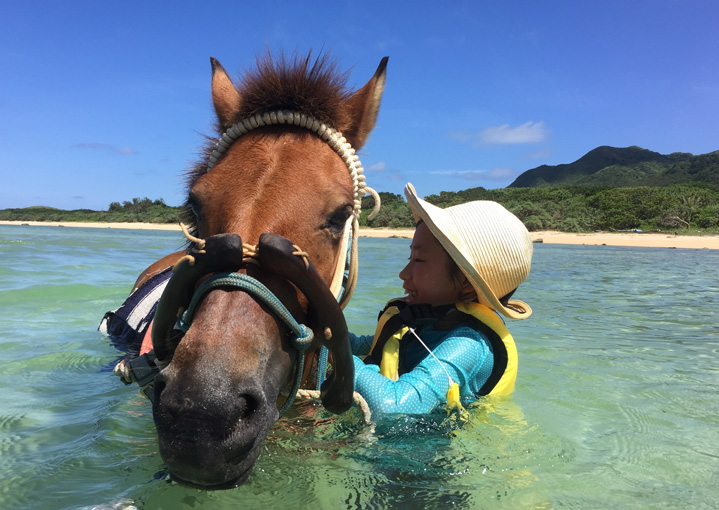 ヨナグニウマの海馬遊び